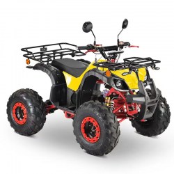 ΗΛΕΚΤΡΙΚΗ ΓΟΥΡΟΥΝΑ  E-ATV 2000W
