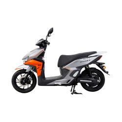 E-RIDE SOLID 25km/h