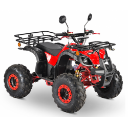 ΗΛΕΚΤΡΙΚΗ ΓΟΥΡΟΥΝΑ  E-ATV 2000W