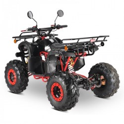 ΗΛΕΚΤΡΙΚΗ ΓΟΥΡΟΥΝΑ  E-ATV 2000W
